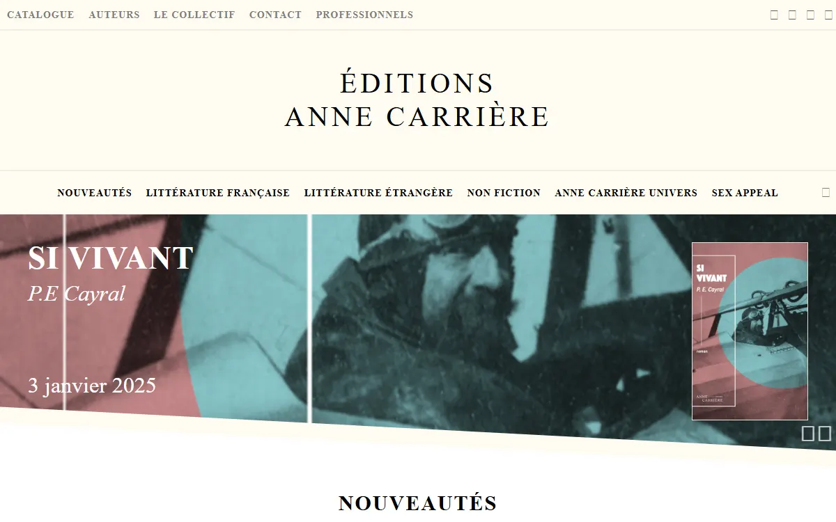 Aperçu du site officiel de Anne Carrière