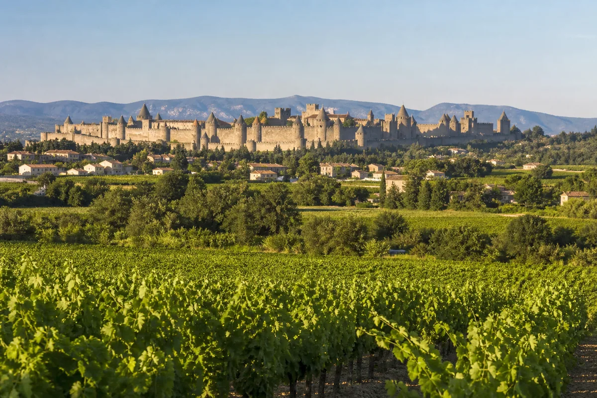 Paysage de la ville Carcassonne, illustration de l'edition de livres et des auteurs locaux