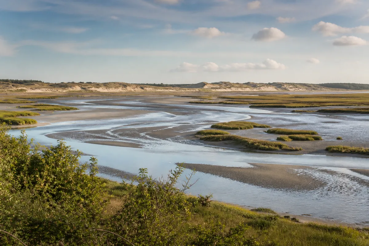 Paysage du departement Somme, illustration de l'edition de livres et des auteurs locaux