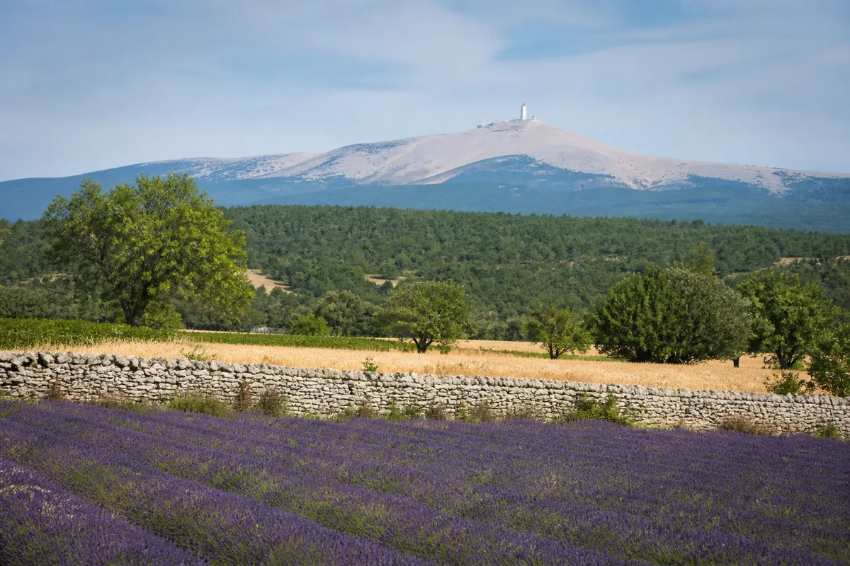 Paysage du departement Vaucluse, illustration de l'edition de livres et des auteurs locaux